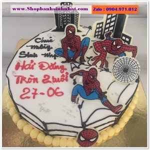 Bánh Sinh Nhật Siêu Nhân - US182